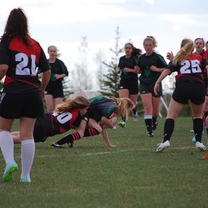 Meet your Posher, Rhiannon